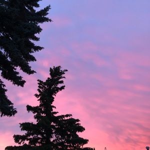 Meet your Posher, Jaden